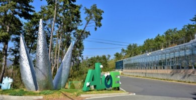 거제 알로에 테마파크